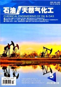 石油與天然氣化工技術概述
