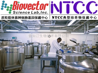 pAAV2/5載體系統技術開發與供應趨勢分析